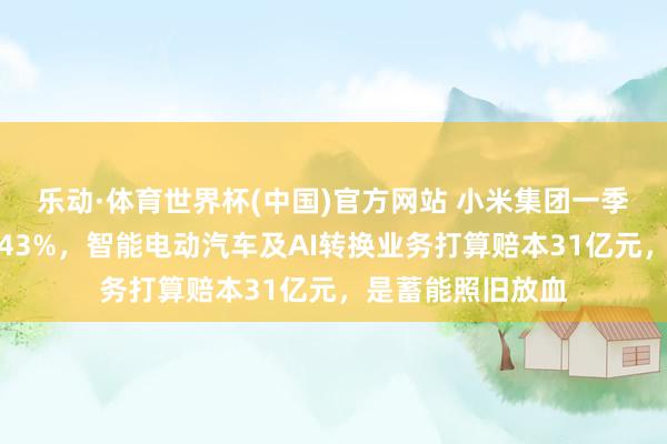 乐动·体育世界杯(中国)官方网站 小米集团一季度净利润同比降43%，智能电动汽车及AI转换业务打算赔本31亿元，是蓄能照旧放血