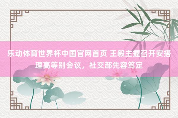 乐动体育世界杯中国官网首页 王毅主握召开安搭理高等别会议，社交部先容笃定
