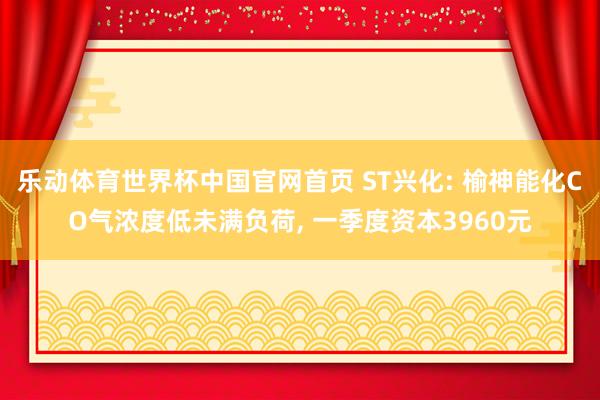 乐动体育世界杯中国官网首页 ST兴化: 榆神能化CO气浓度低未满负荷, 一季度资本3960元