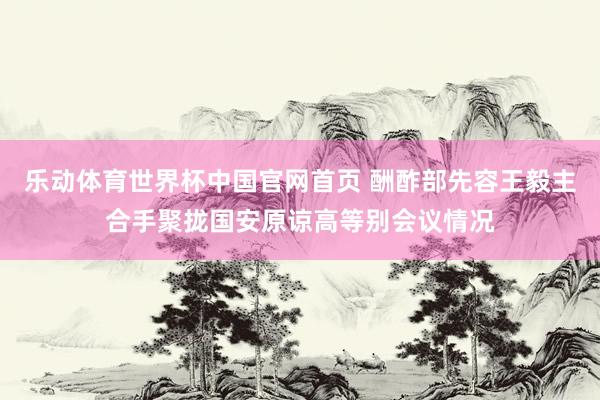 乐动体育世界杯中国官网首页 酬酢部先容王毅主合手聚拢国安原谅高等别会议情况