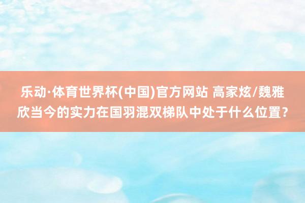 乐动·体育世界杯(中国)官方网站 高家炫/魏雅欣当今的实力在国羽混双梯队中处于什么位置?