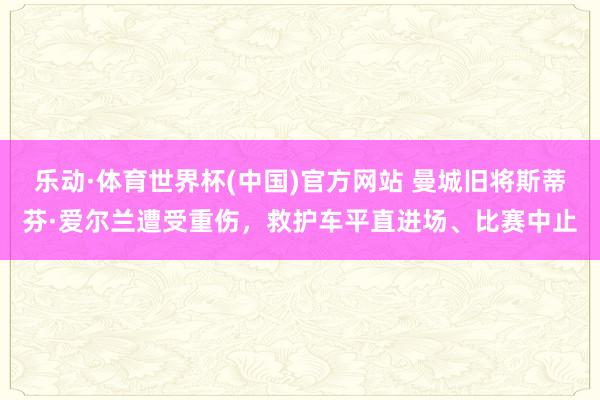 乐动·体育世界杯(中国)官方网站 曼城旧将斯蒂芬·爱尔兰遭受重伤,救护车平直进场、比赛中止