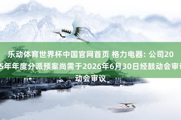 乐动体育世界杯中国官网首页 格力电器: 公司2025年年度分派预案尚需于2026年6月30日经鼓动会审议