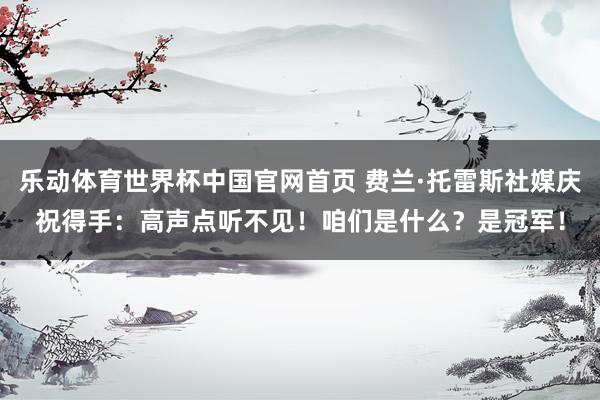 乐动体育世界杯中国官网首页 费兰·托雷斯社媒庆祝得手：高声点听不见！咱们是什么？是冠军！