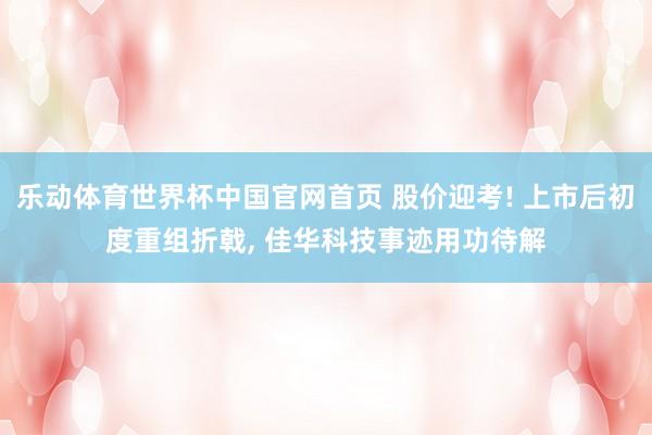 乐动体育世界杯中国官网首页 股价迎考! 上市后初度重组折戟， 佳华科技事迹用功待解