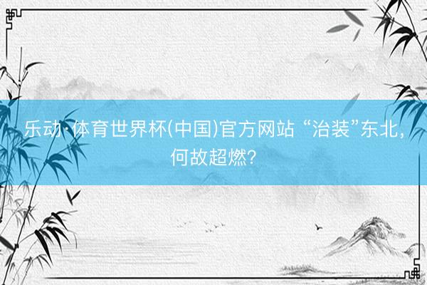 乐动·体育世界杯(中国)官方网站 “治装”东北,何故超燃?