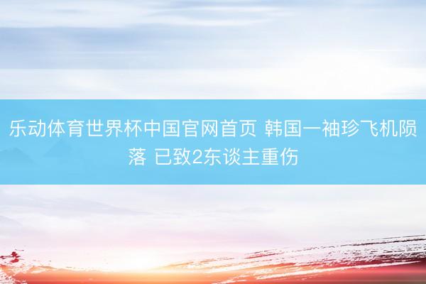 乐动体育世界杯中国官网首页 韩国一袖珍飞机陨落 已致2东谈主重伤