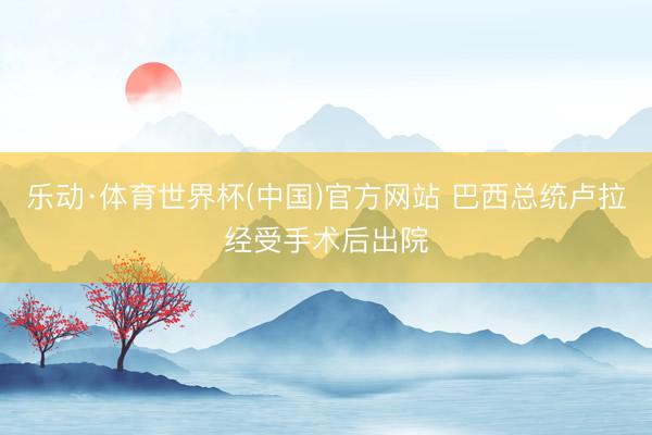 乐动·体育世界杯(中国)官方网站 巴西总统卢拉经受手术后出院