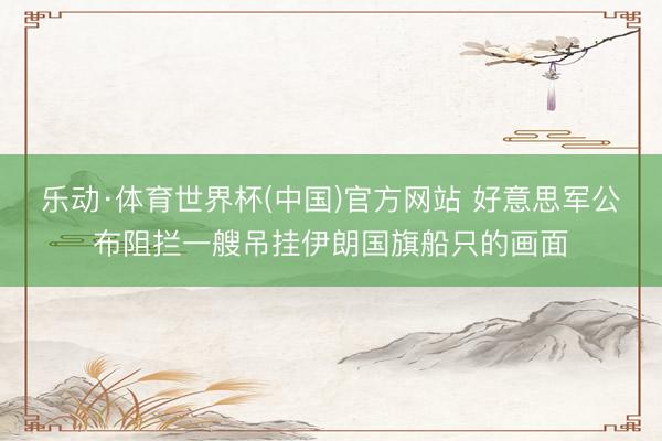 乐动·体育世界杯(中国)官方网站 好意思军公布阻拦一艘吊挂伊朗国旗船只的画面