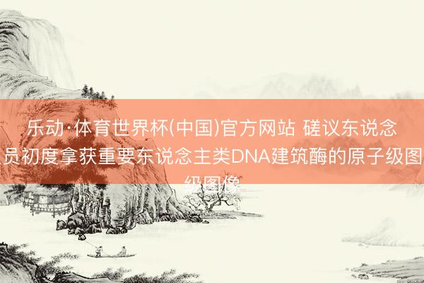 乐动·体育世界杯(中国)官方网站 磋议东说念主员初度拿获重要东说念主类DNA建筑酶的原子级图像