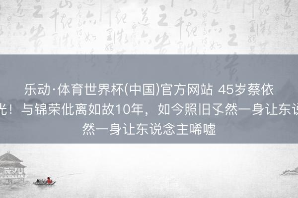 乐动·体育世界杯(中国)官方网站 45岁蔡依林现状曝光！与锦荣仳离如故10年，如今照旧孓然一身让东说念主唏嘘